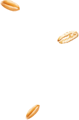 Напиток овсяный 3,2%